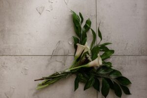 imagen representativa de Nulidad de Matrimonio