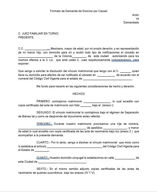 Demanda De Divorcio Por Causal Requisitos Y Costos 【 2024